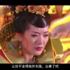 铁树开花二肖4码